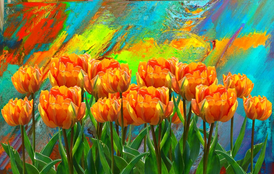 Nature spring flower colorful