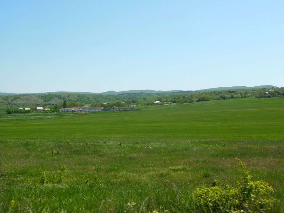 Yakovlevka 1