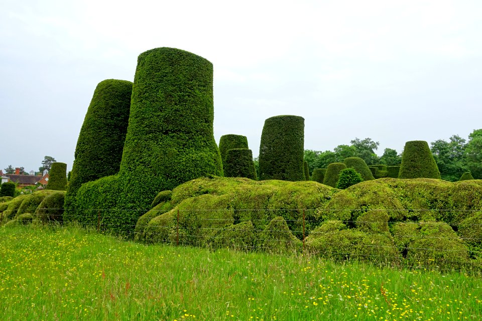 Yew Garden - Packwood House - Warwickshire, England - DSC08736