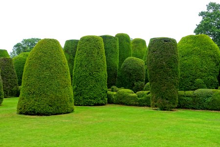 Yew Garden - Packwood House - Warwickshire, England - DSC08728