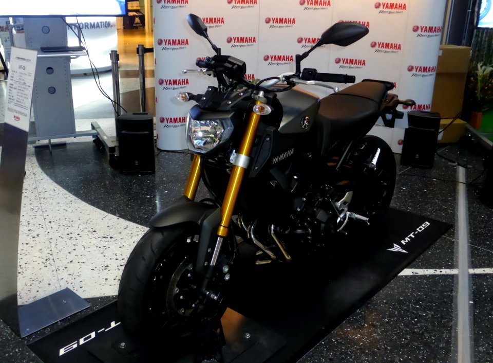 YAMAHA MT-09 (1) photo