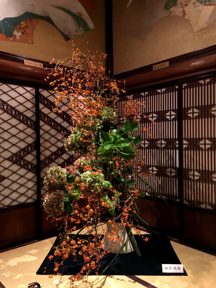 Yamatokado 大和花道 001