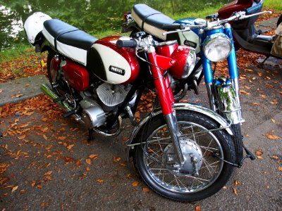 Yamaha autolube pic1