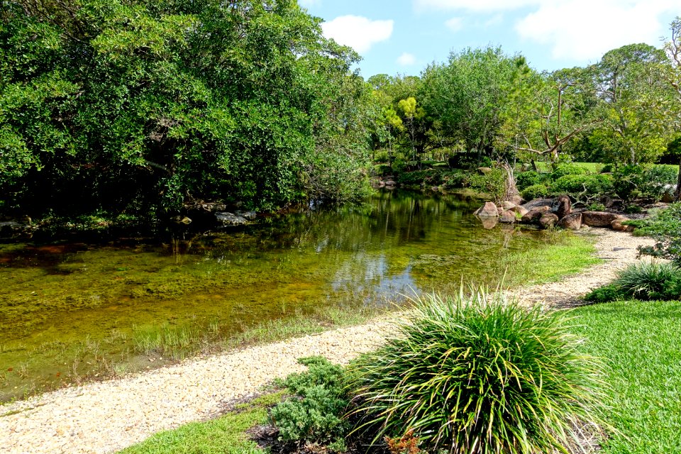 Yamato Island - Morikami Museum and Japanese Gardens - Palm Beach County, Florida - DSC03472