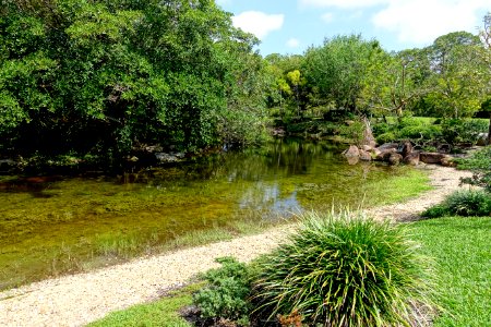 Yamato Island - Morikami Museum and Japanese Gardens - Palm Beach County, Florida - DSC03472