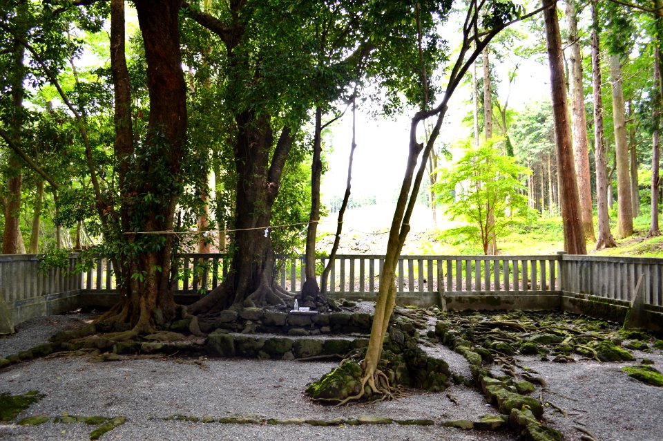 Yamamiya-sengen-jinja iseki-3
