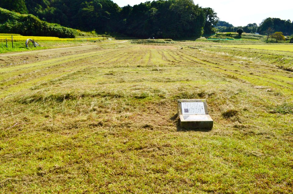 Yamada-dera-ato, houzou