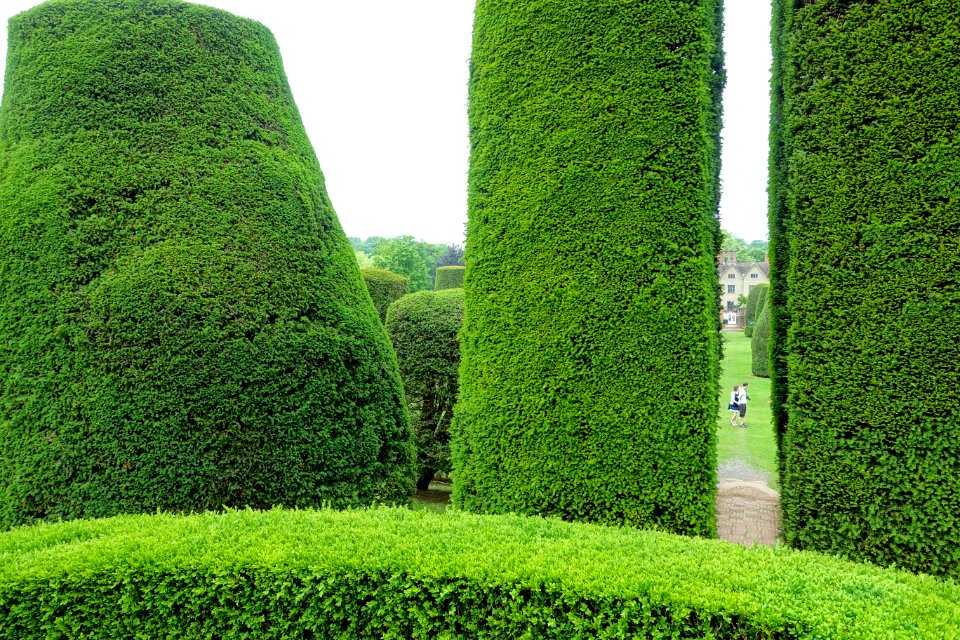 Yew Garden - Packwood House - Warwickshire, England - DSC08708