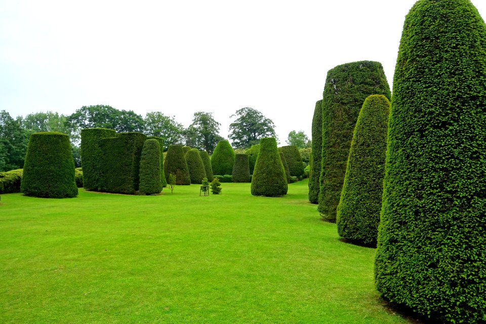 Yew Garden - Packwood House - Warwickshire, England - DSC08729