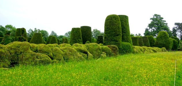 Yew Garden - Packwood House - Warwickshire, England - DSC08738