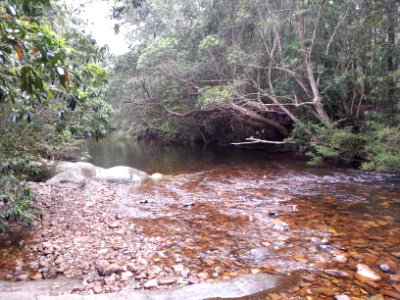 Yadboro River crossing on the Kaliana Ridge Track near Long Gully Campground 002