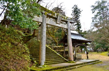 Yabu-jinja, torii