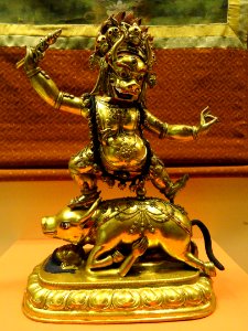 Yama - AMNH - DSC06228