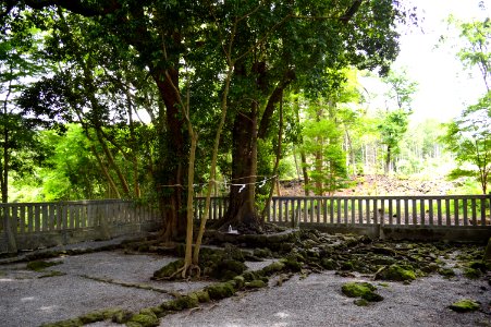 Yamamiya-sengen-jinja iseki-2
