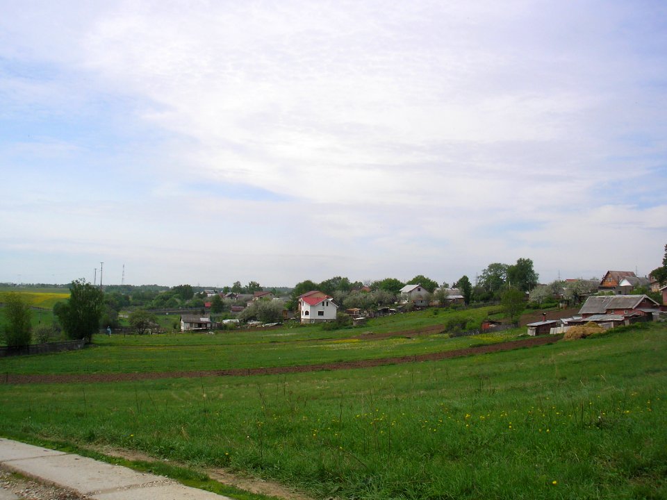 Yabedino 5