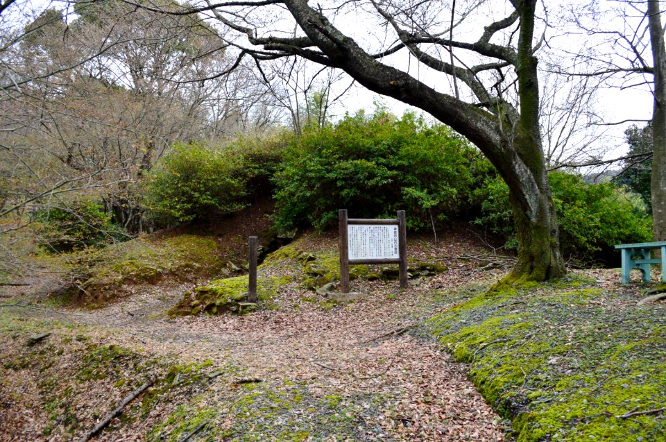 Yamauchi Kofun Group-2, funkyu