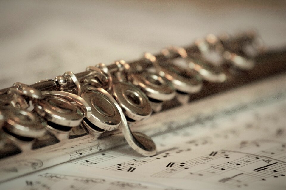 Musical instrument instrument silver plated