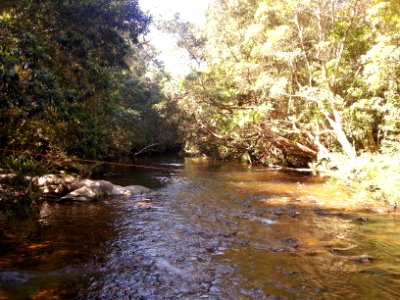 Yadboro River crossing on the Kaliana Ridge Track near Long Gully Campground 009