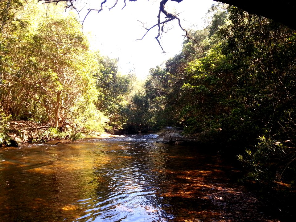 Yadboro River crossing on the Kaliana Ridge Track near Long Gully Campground 004