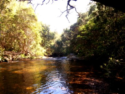 Yadboro River crossing on the Kaliana Ridge Track near Long Gully Campground 004