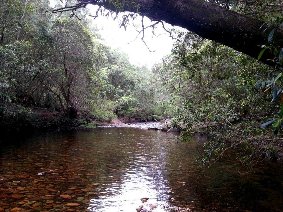 Yadboro River crossing on the Kaliana Ridge Track near Long Gully Campground 001