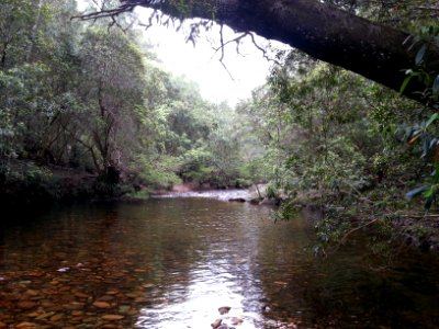 Yadboro River crossing on the Kaliana Ridge Track near Long Gully Campground 001