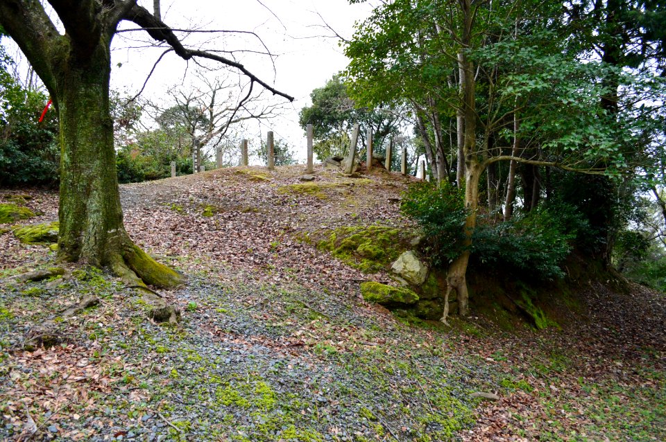 Yamauchi Kofun Group-1, funkyu