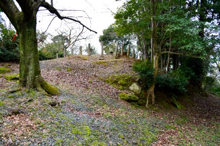 Yamauchi Kofun Group-1, funkyu