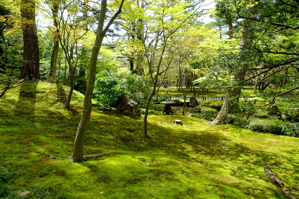 Yamazaki-yama - Kenroku-en - Kanazawa, Japan - DSC09782