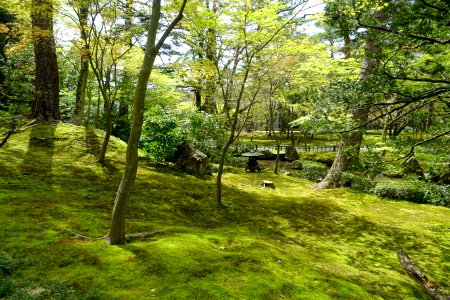 Yamazaki-yama - Kenroku-en - Kanazawa, Japan - DSC09782