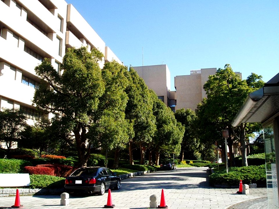 Yokohama-City-Univ-Fukuura-2011120402