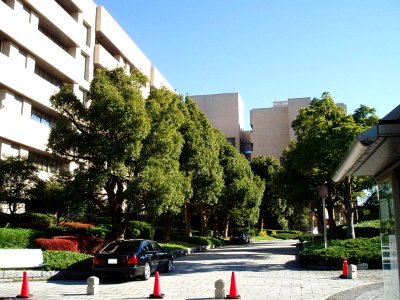 Yokohama-City-Univ-Fukuura-2011120402