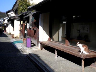 Yokaichi Gokoku201102 3