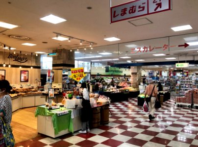 Yamanaka-Okazaki-1