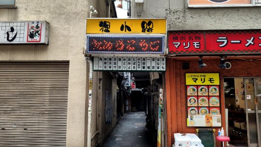 Yokohama Tanuki koji