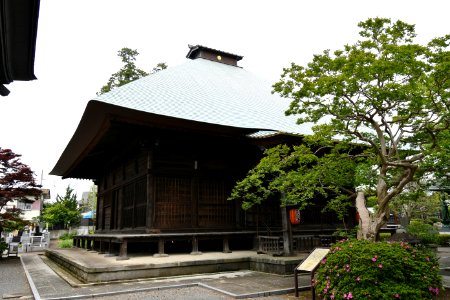 Yogo-ji (Kawasaki), yakushidou-2