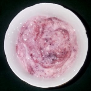 Yogurt (black cherry) - Arlington, MA photo