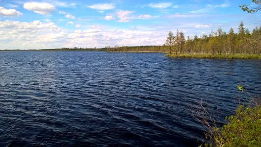 Ylä-Potkunjärvi
