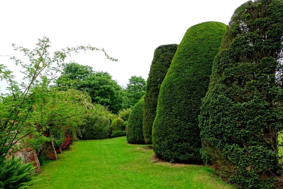 Yew Garden - Packwood House - Warwickshire, England - DSC08621