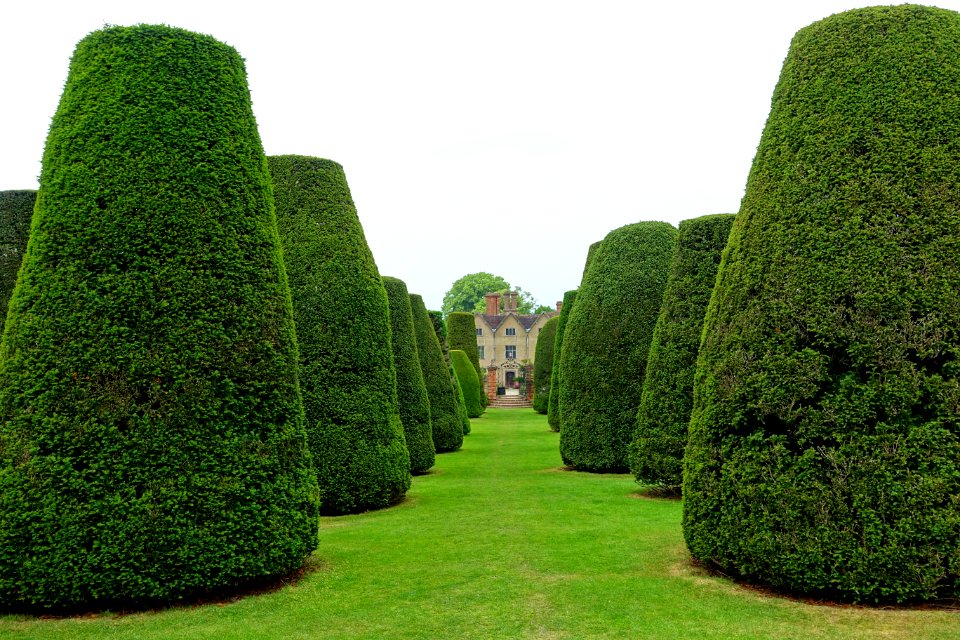 Yew Garden - Packwood House - Warwickshire, England - DSC08670