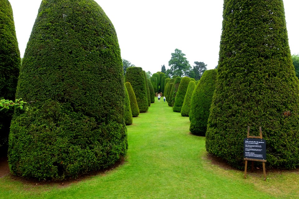 Yew Garden - Packwood House - Warwickshire, England - DSC08567