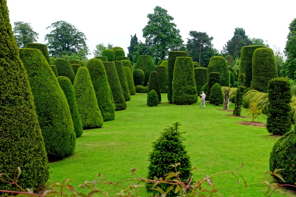 Yew Garden - Packwood House - Warwickshire, England - DSC08595