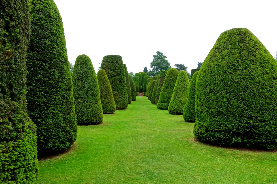 Yew Garden - Packwood House - Warwickshire, England - DSC08615