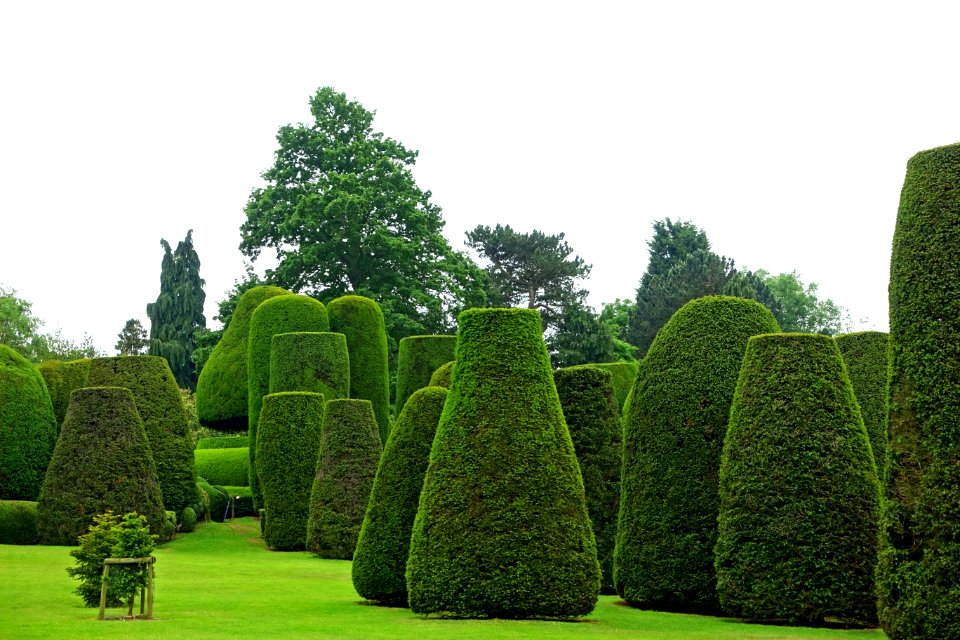 Yew Garden - Packwood House - Warwickshire, England - DSC08645