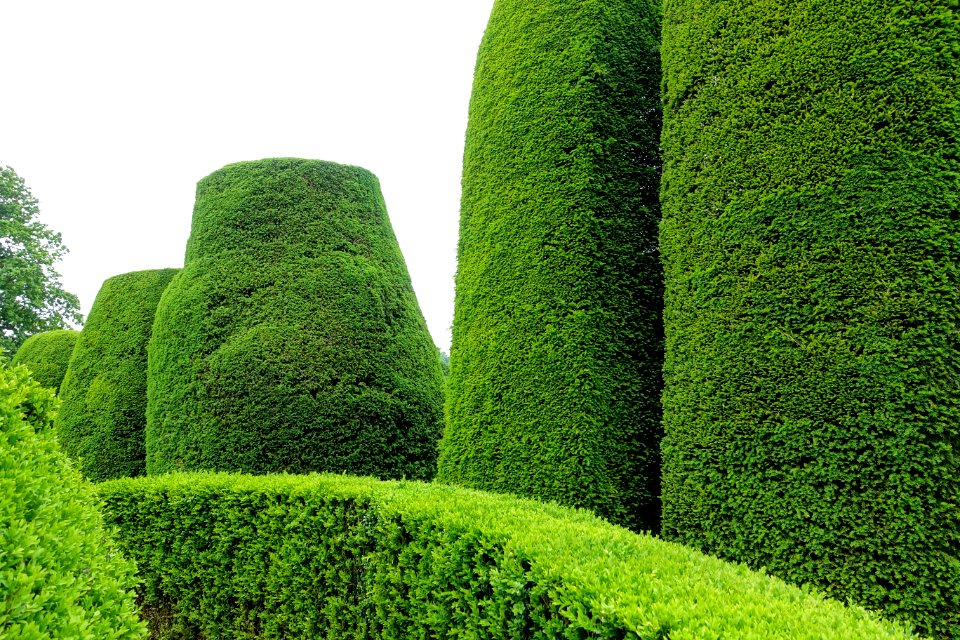 Yew Garden - Packwood House - Warwickshire, England - DSC08704