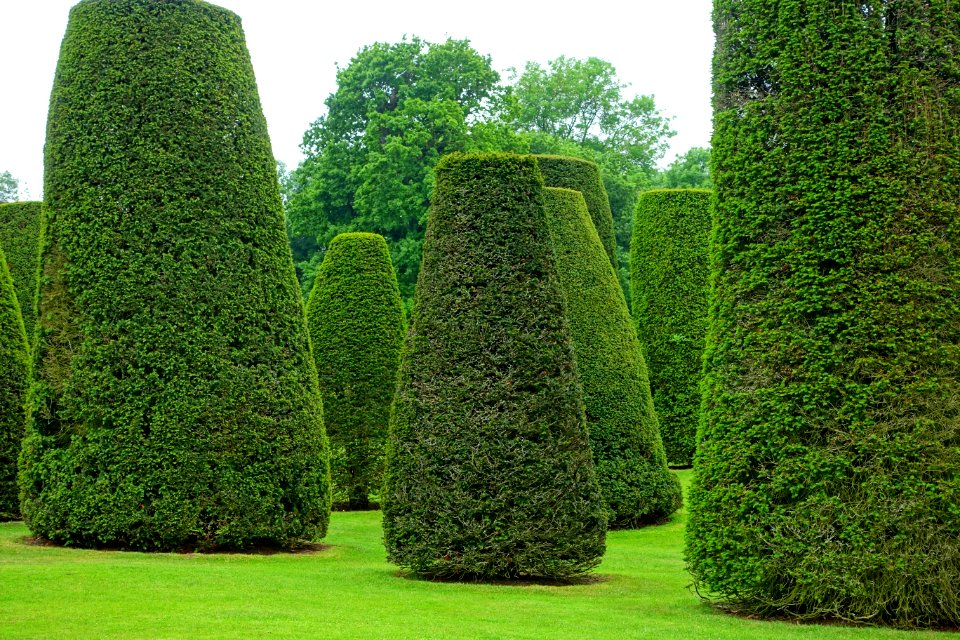 Yew Garden - Packwood House - Warwickshire, England - DSC08647