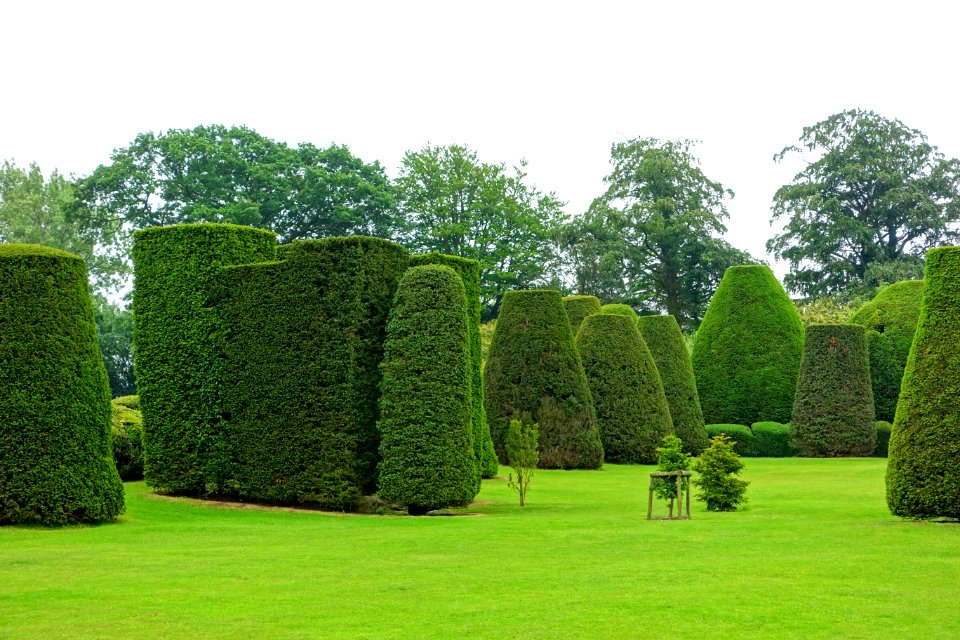 Yew Garden - Packwood House - Warwickshire, England - DSC08637