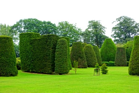 Yew Garden - Packwood House - Warwickshire, England - DSC08637