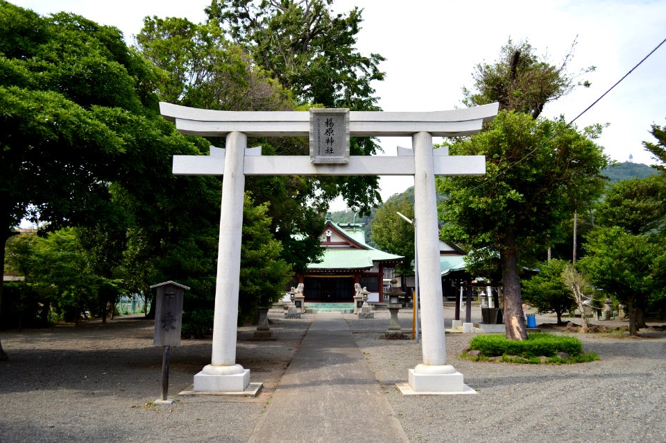 Yanagihara-jinja (Numazu) torii