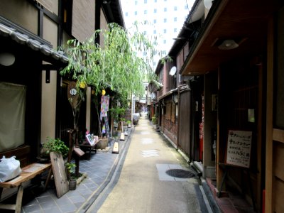 Yanagi Koji Kyoto 002